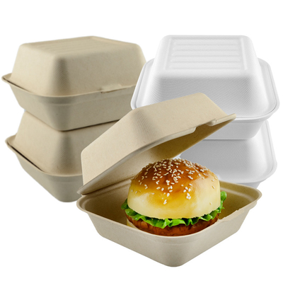 Food Container Box for Fast Food Hamburg and Takeway Food 6 inch White or Nature Compostable